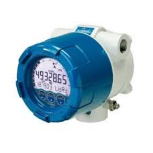 Fluidwell E110 Explosion Proof Flow Totalizer